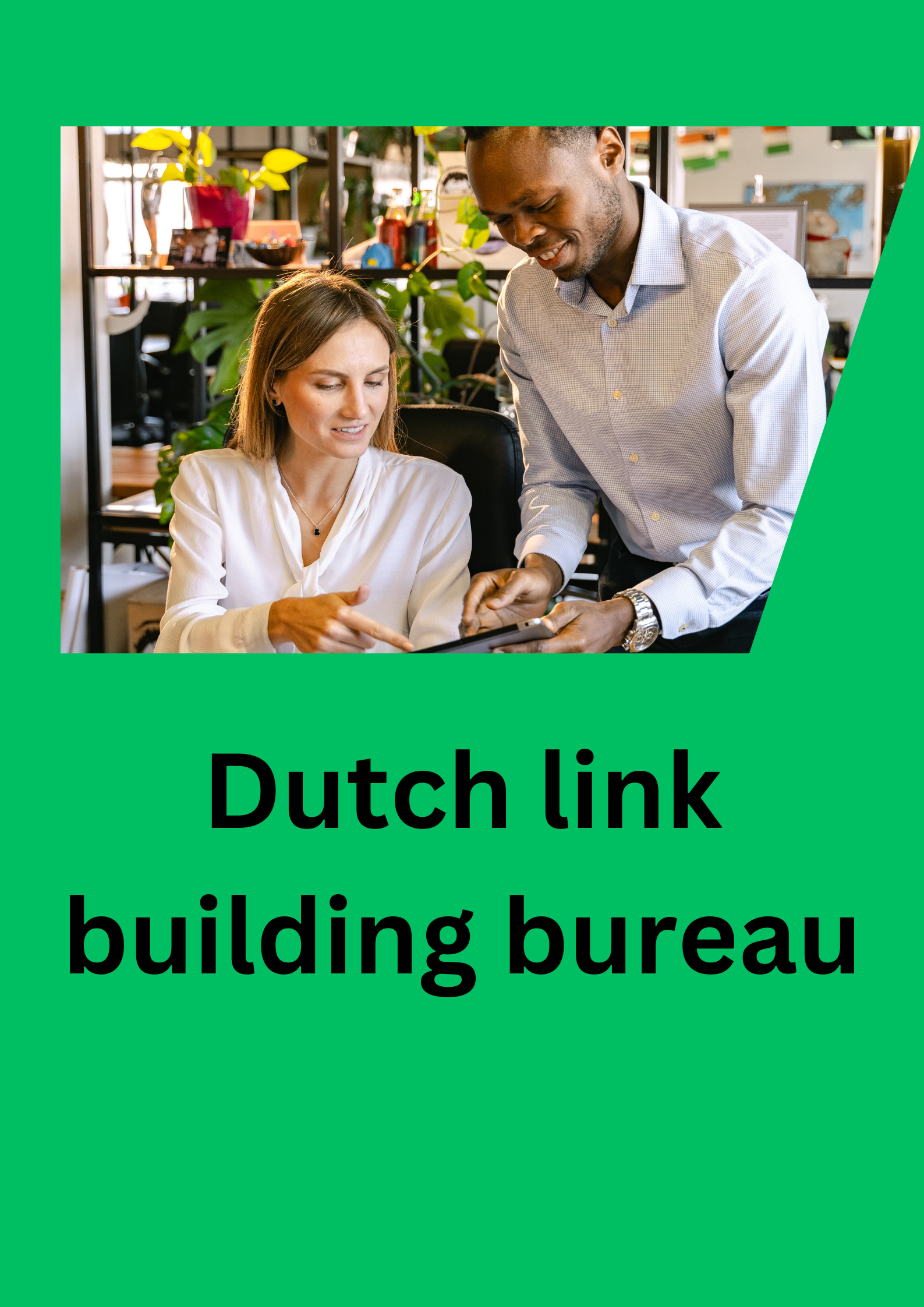 Dutch link building bureau